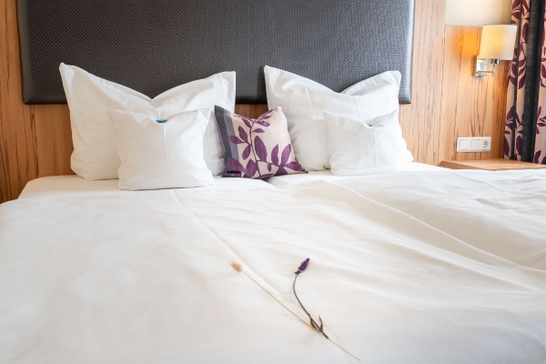 Classicx Landhaus und Hotel Garni B&B (Gensingen)